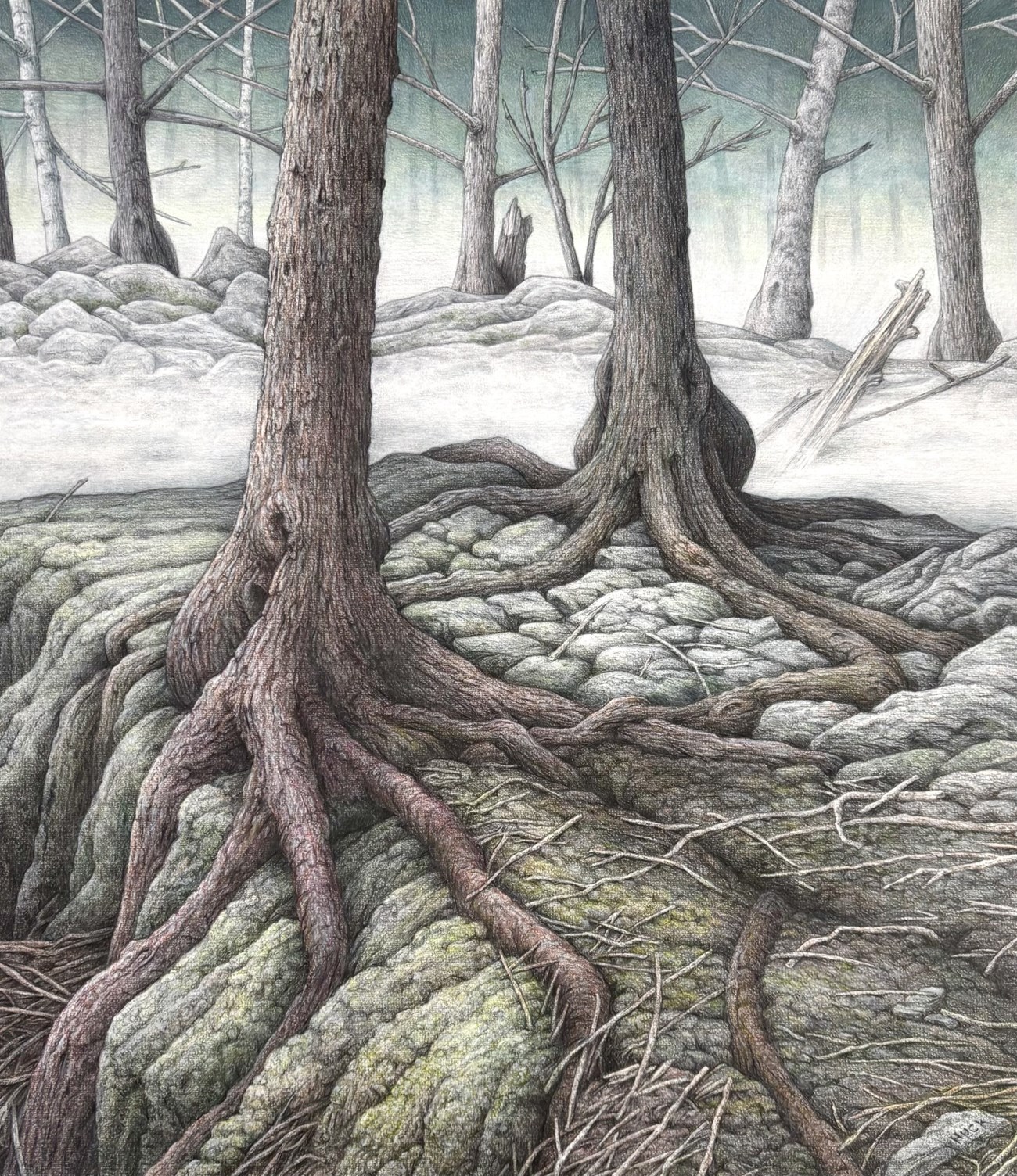 Fine art illustration of the thick trunks and surface roots of two trees