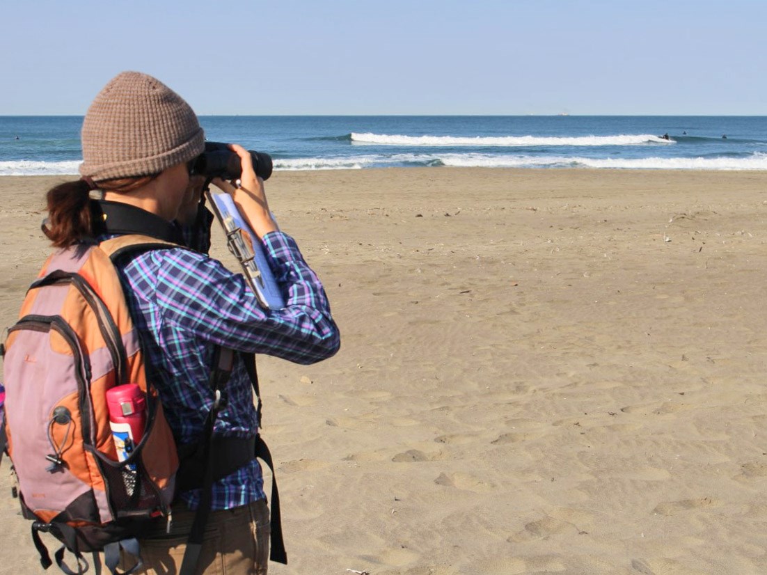 Person on a beach holding a clipboard and looking through binoculars.