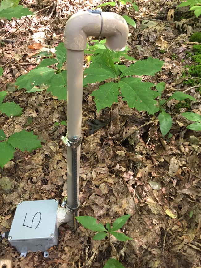 Above Ground Sensor in the Park. PVC pipe sensor in the leaf litter.