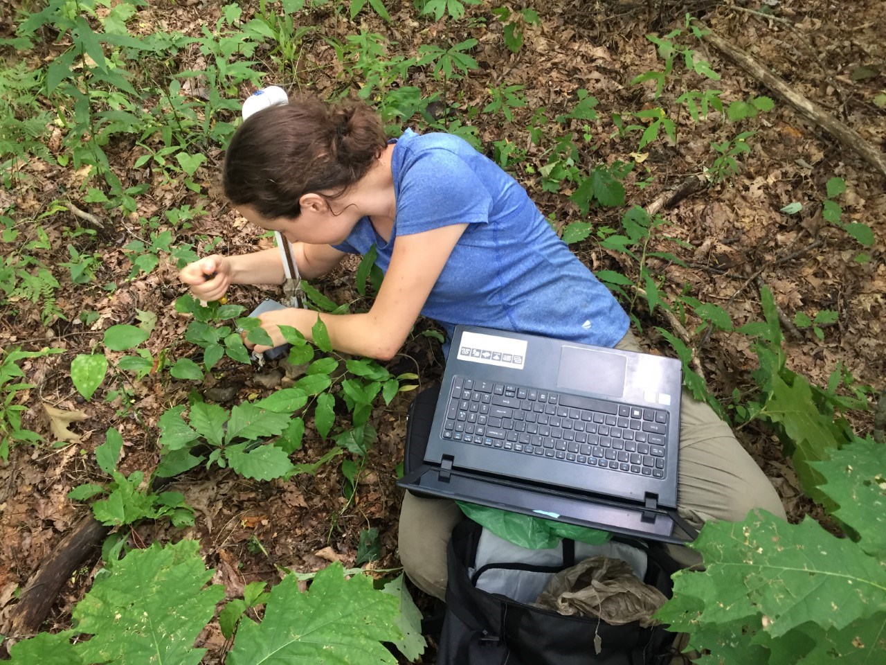 Researcher Jordan Stark in the field. Researcher sitting on the ground with a computer in the park.