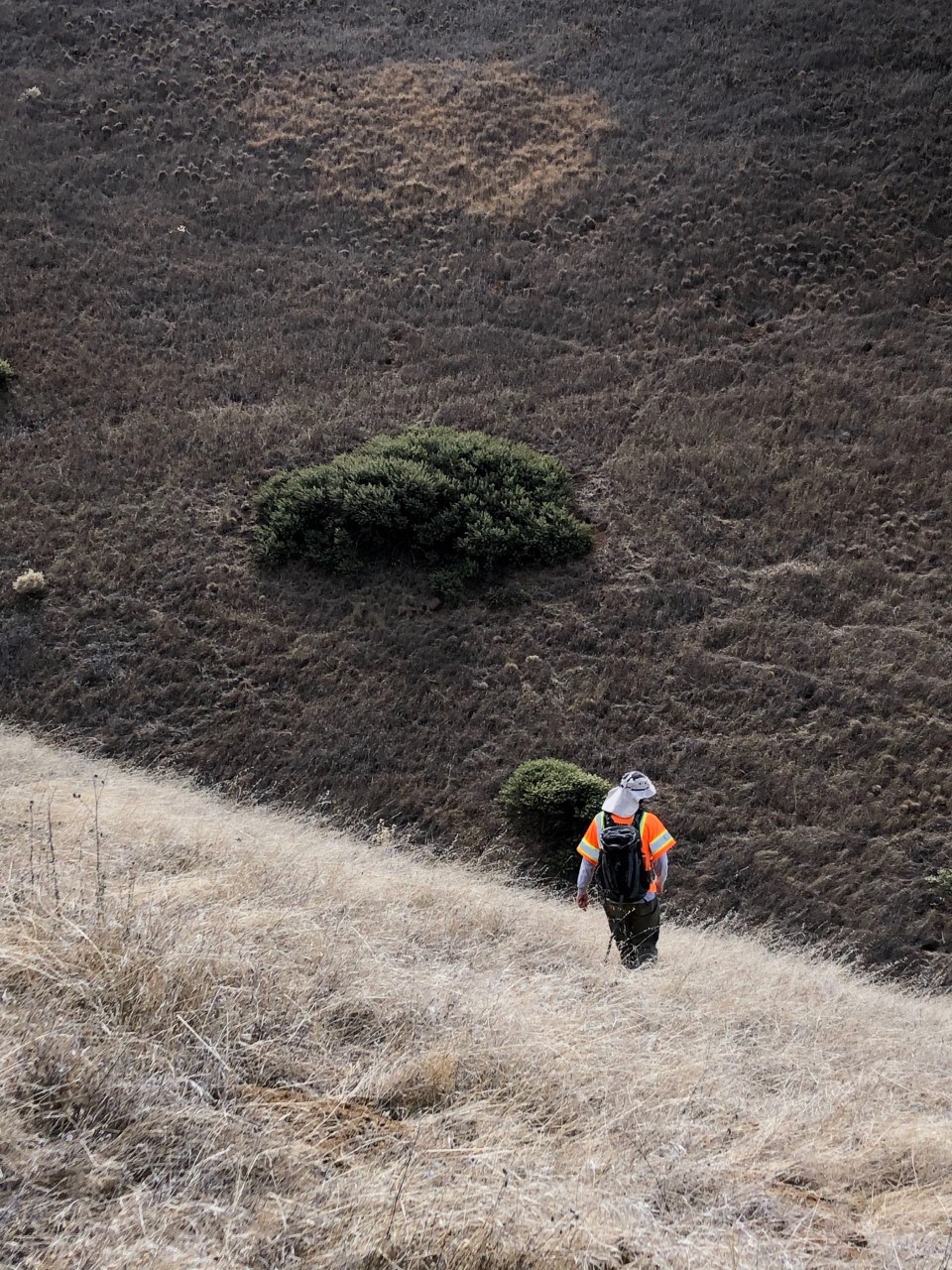 Heading into a drainage Person heading down a steep, grassy slope into a narrow gully.