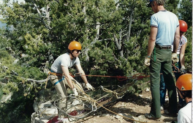 Dave Rappelling Dave Rappelling