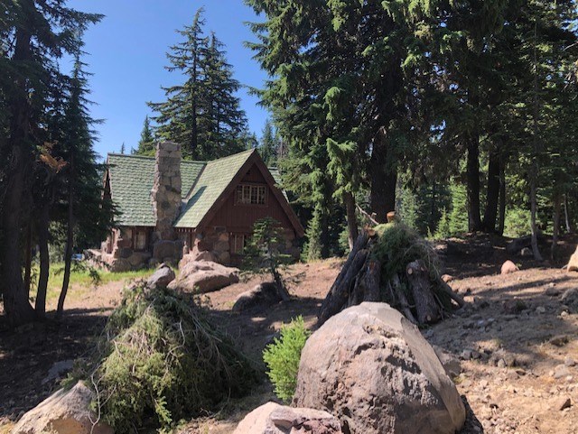 Pile of branches from fuels projects with structure in background