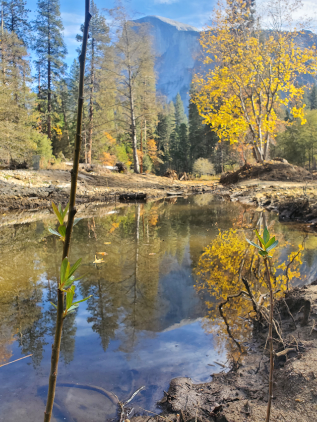 Merced River shown with Yosemite Valley in background Merced River shown with Yosemite Valley in background