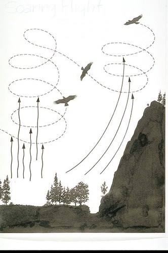 Thermal use by raptors A diagram depicting raptors' use of a thermal. Arrows show warm air rising as the bird uses it to spiral upwards.