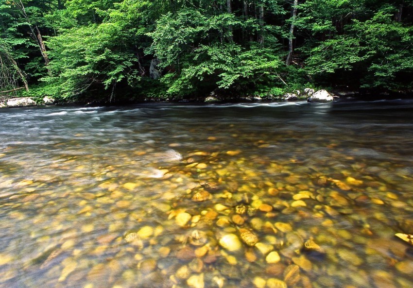 Water rushes over pebbles down the Farmington River. Photo Credit: Tim Palmer.