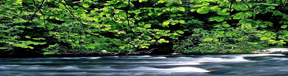 Farmington River photo by Tim Palmer