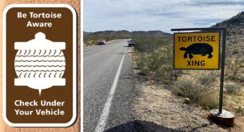 tortoise signs two signs that read, "be tortoise aware, check under vehicle" and "tortoise xing"