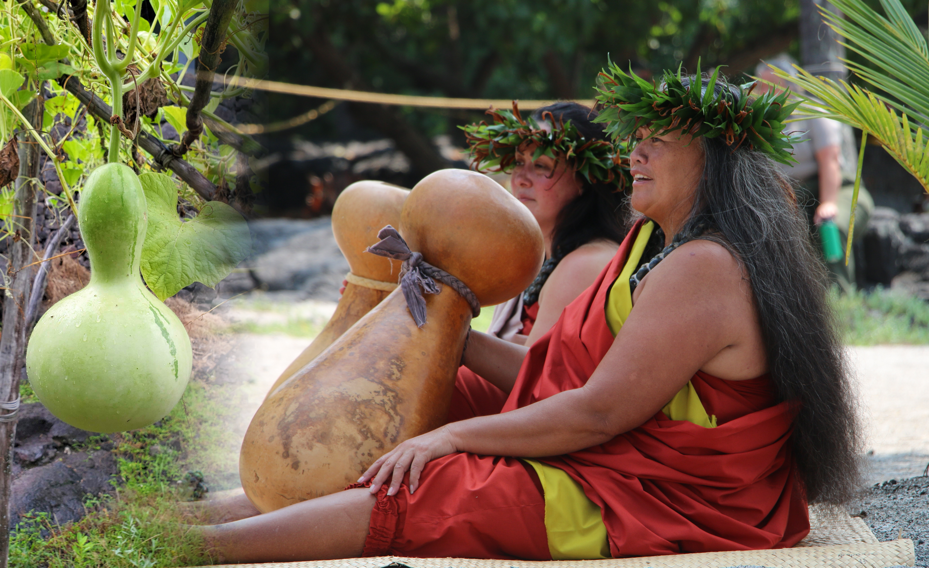 A woman in traditional clothing and head lei uses an ipu heke hula drum with image of green ipu on left