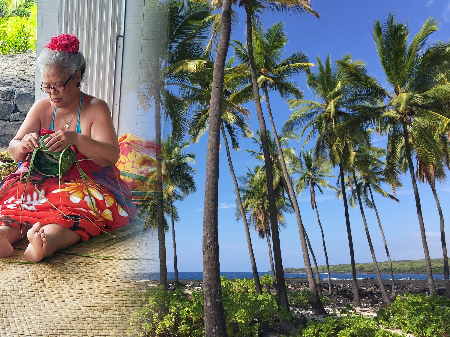 Traditional Use Niu Two images stitched together. Left image: A woman in traditional clothing weaves a basket out of coconut leaves. Right image: A grove of coconut trees with blue skies above and black lava rock below