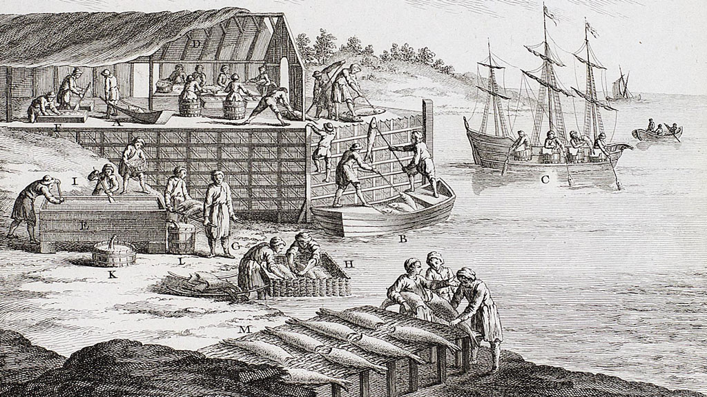 Black and white print from an engraving plate depicting a large number of fishermen on a forested coastline working on cleaning and salting many processed codfish. Prominent in center are cod laid out on a table to dry. In background is a structured with a thatched roof. The artist cut away at a portion of the roof to show men working inside to clean and salt fish in barrels. In background are men fishing on a three masted boat as well as on a rowboat.