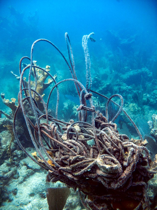 An underwater photograph showing a large tangle of rope used for fishing tangled around a coral reef.