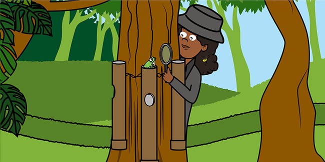 A cartoon of a scientist looking at a treefrog on a pipe on a tree trunk.