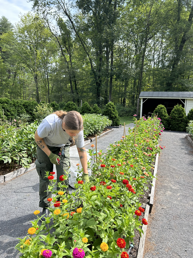 A woman in a grey t-shirt working in a garden with tall green plants.