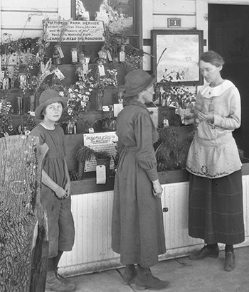 Enid Michael (right) talks with with visitors at her wildflower display.