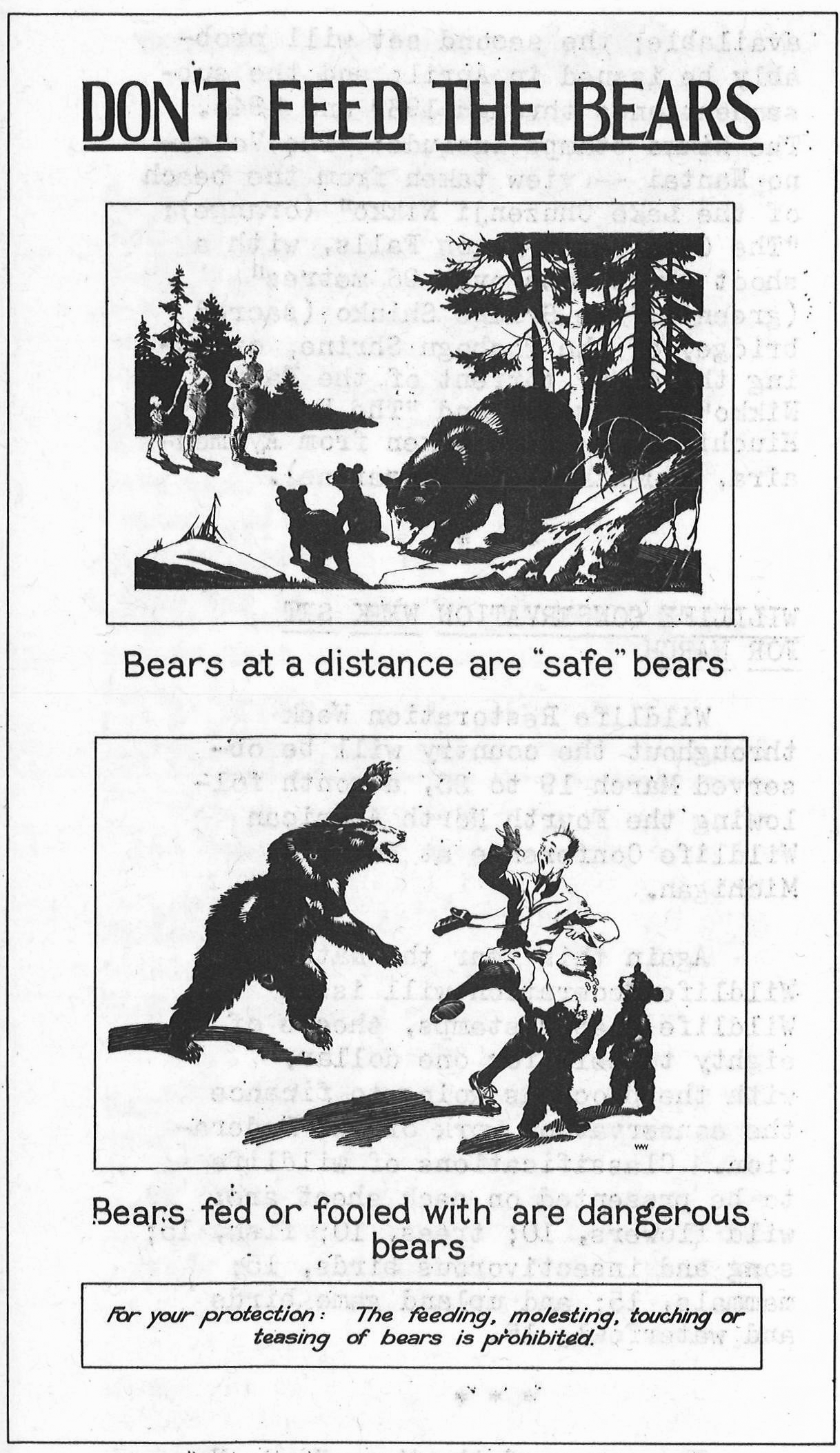 Poster titled "Don't Feed the Bears" showing bears at a safe distance and then attacking people who get too close