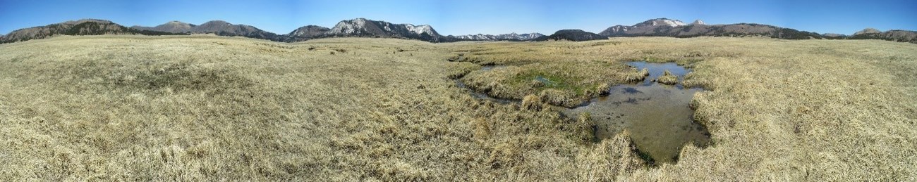 Panorama of a large grassy plain, small wetland, and mountains in the distance.