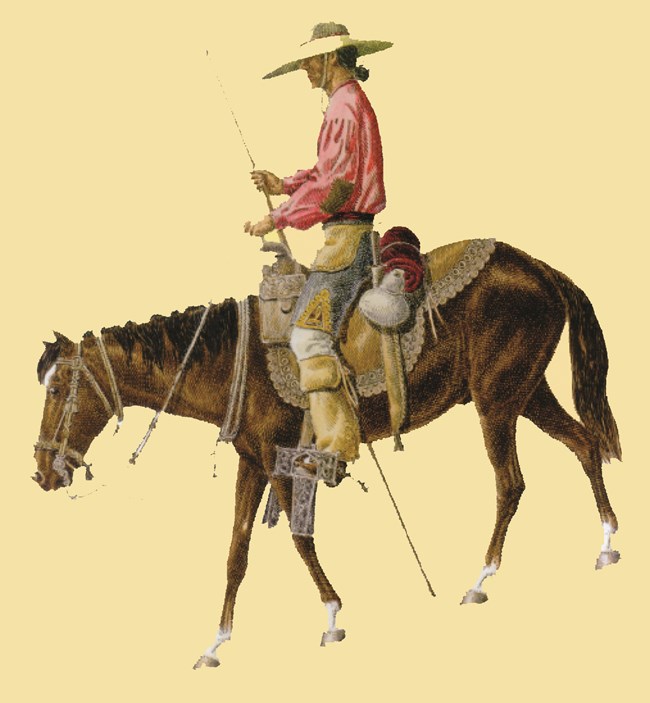 vaquero drawing