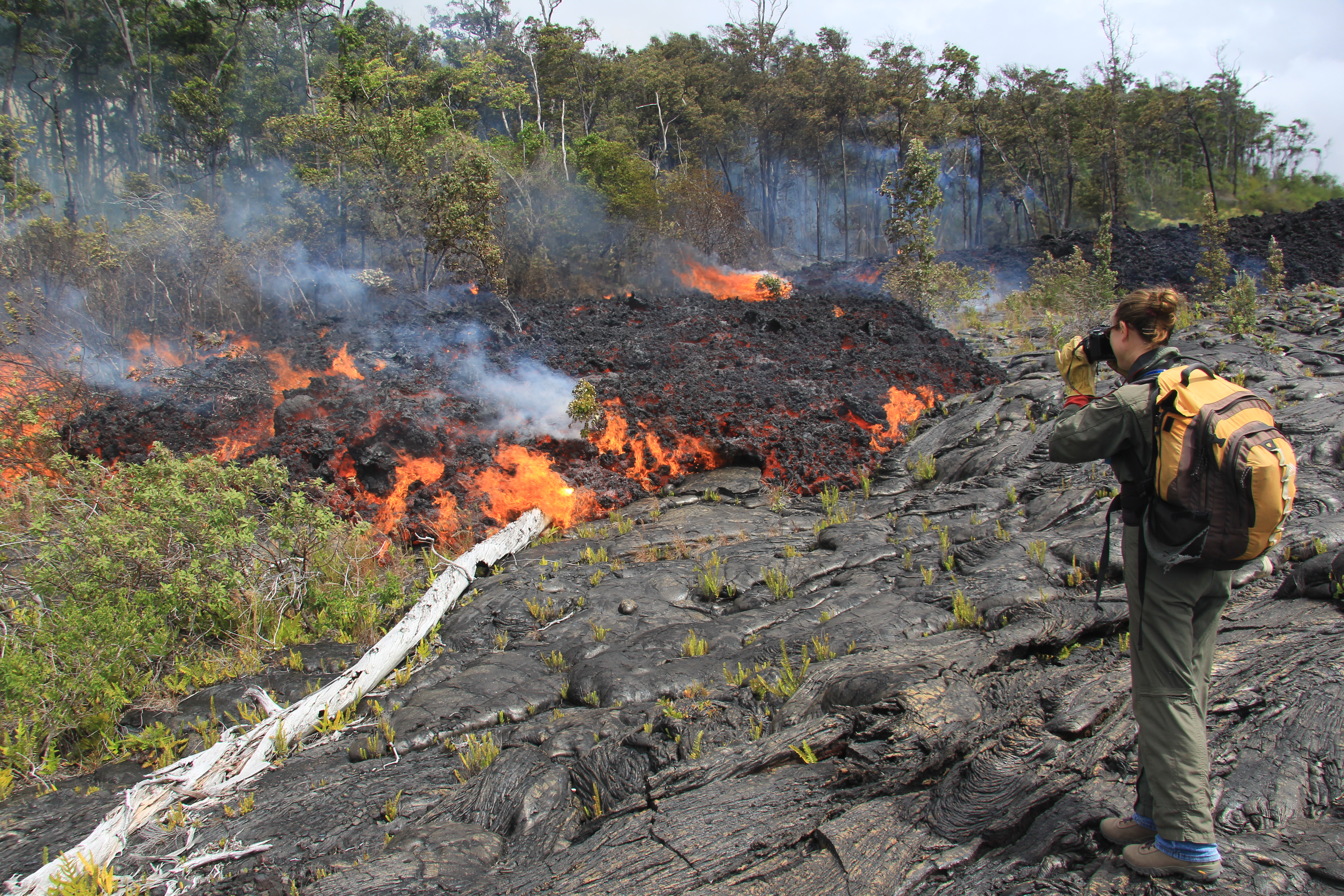 How Does a Pahoehoe Lava Flow Form and Transition?