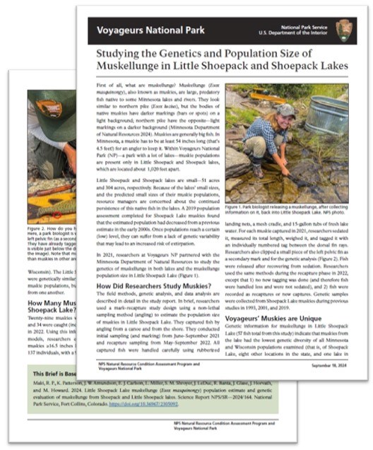 Photo of a 2-page informational article.