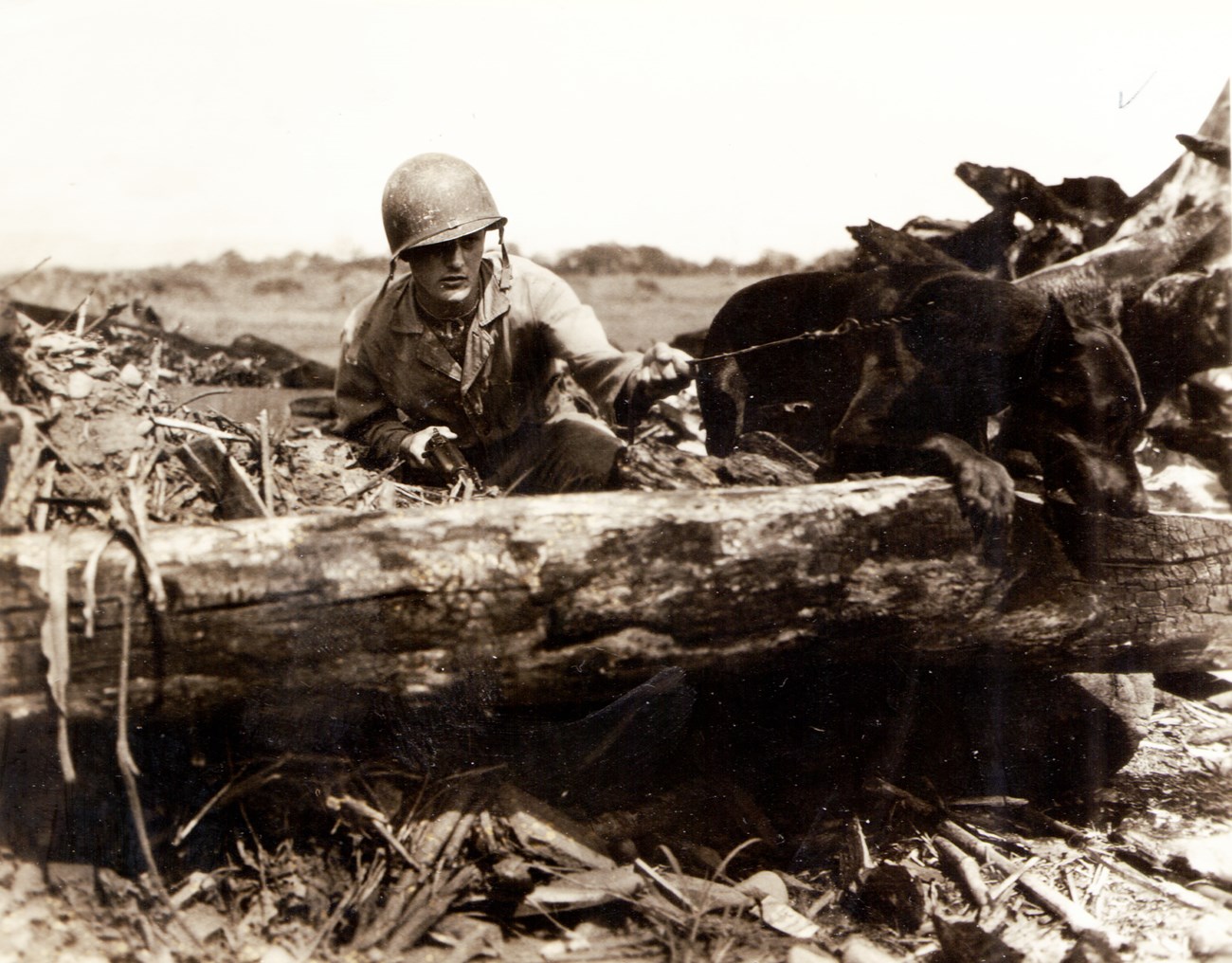 Male soldier in uniform holding the leash of a dog who is leaping over a tree trunk.