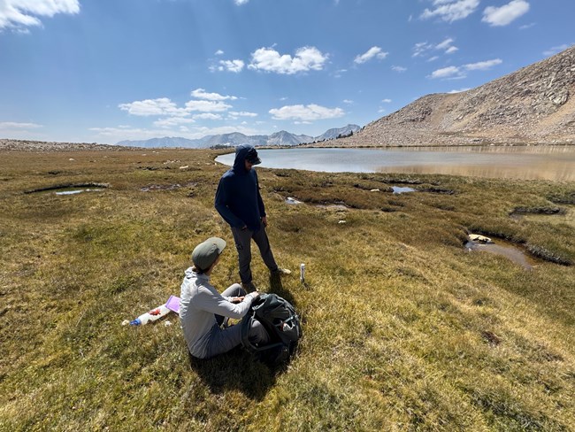 Two technicians next in a high elevation wetland bordering a lake, with a white plastic pipe emerging from the ground nearby.