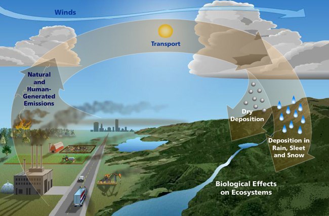 graphic that shows acid deposition cycle. Stages are: Natural and human-generated emissions, winds, transport, wet or dry deposition, biological effects on ecosystem.