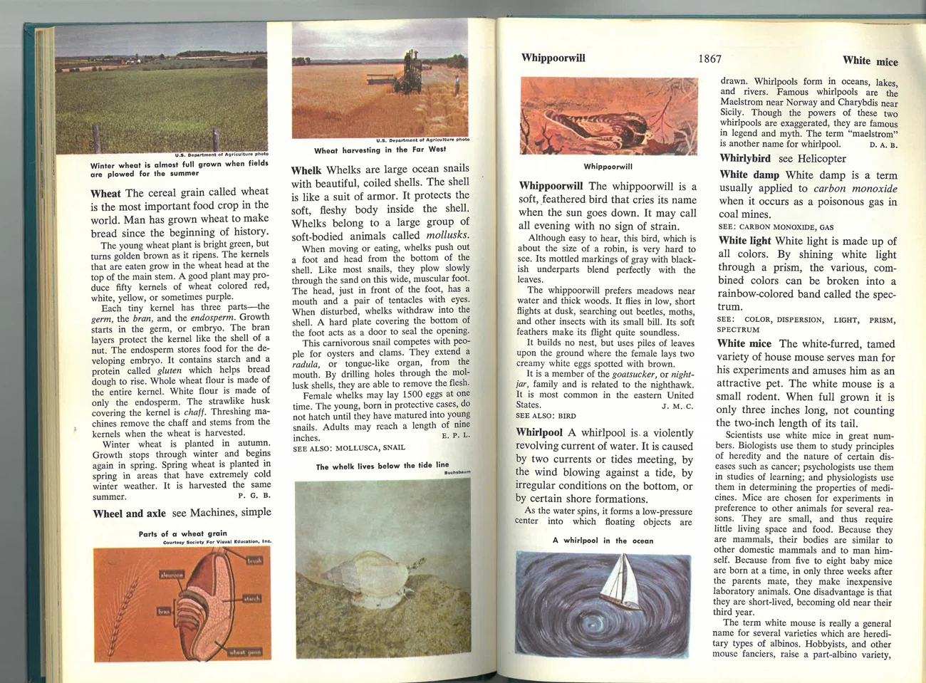 Whirlpool entry in the Young People's Encyclopedia Whirlpool entry in the Young People's Encyclopedia
