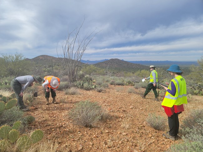 Four people, wearing neon vests, look at a camera on a stake in the desert.