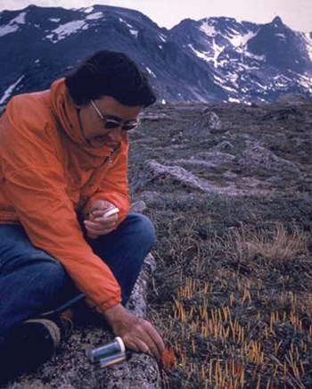 A woman wearing an orange k=jacket and blue jeans collects a sample of a plant.  Snow on the mountains can be seen behind her.