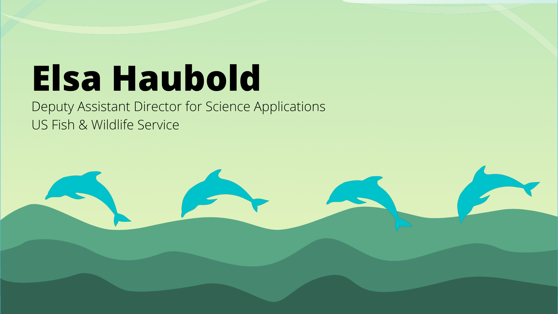 Elsa Haubold digital illustration of waves and four dolphins swimming across with the text Elsa Haubold, Deputy Assistant Director of Science Applications, US Fish & Wildlife Service