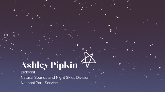 Ashley Pipkin digital illustration of starry sky with text Ashley Pipkin, Biologist, Natural Sounds and Night Skies Division, National Park Service