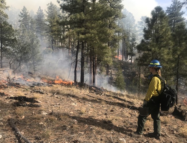 Windy Bunn A firefighter in personal protective equipment stands on a slope near a surface fire.