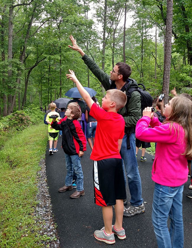 Judd at Kings Mountain Bioblitz Children and adult point at the trees.