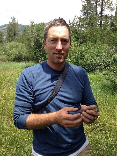 Avian ecologist Ecologist holds a small bird.