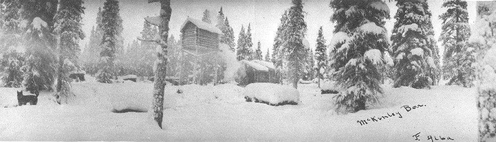 black and white photo of a log cabin among tall spruce trees, all covered in snow