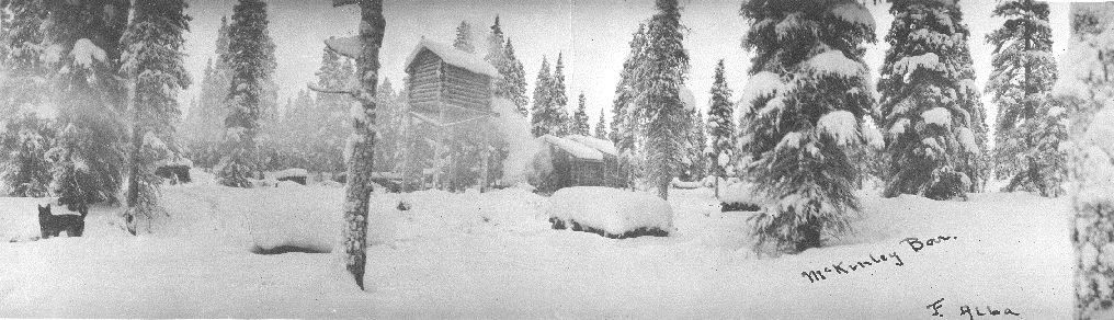 ynes-2 black and white photo of a log cabin among tall spruce trees, all covered in snow