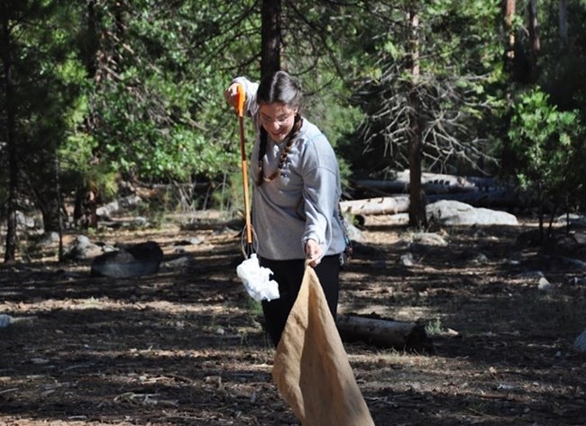 Picking up trash around Yosemite Valley Woman picking up trash in Yosemite Valley