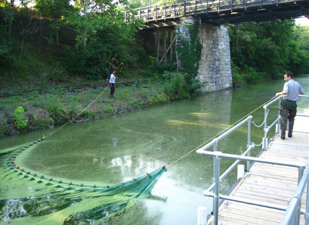 Youth crew using net to clean canal.