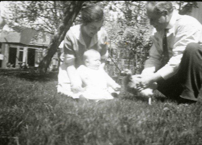 black and white photo of a man, woman, and baby playing with a chicken on a lawn