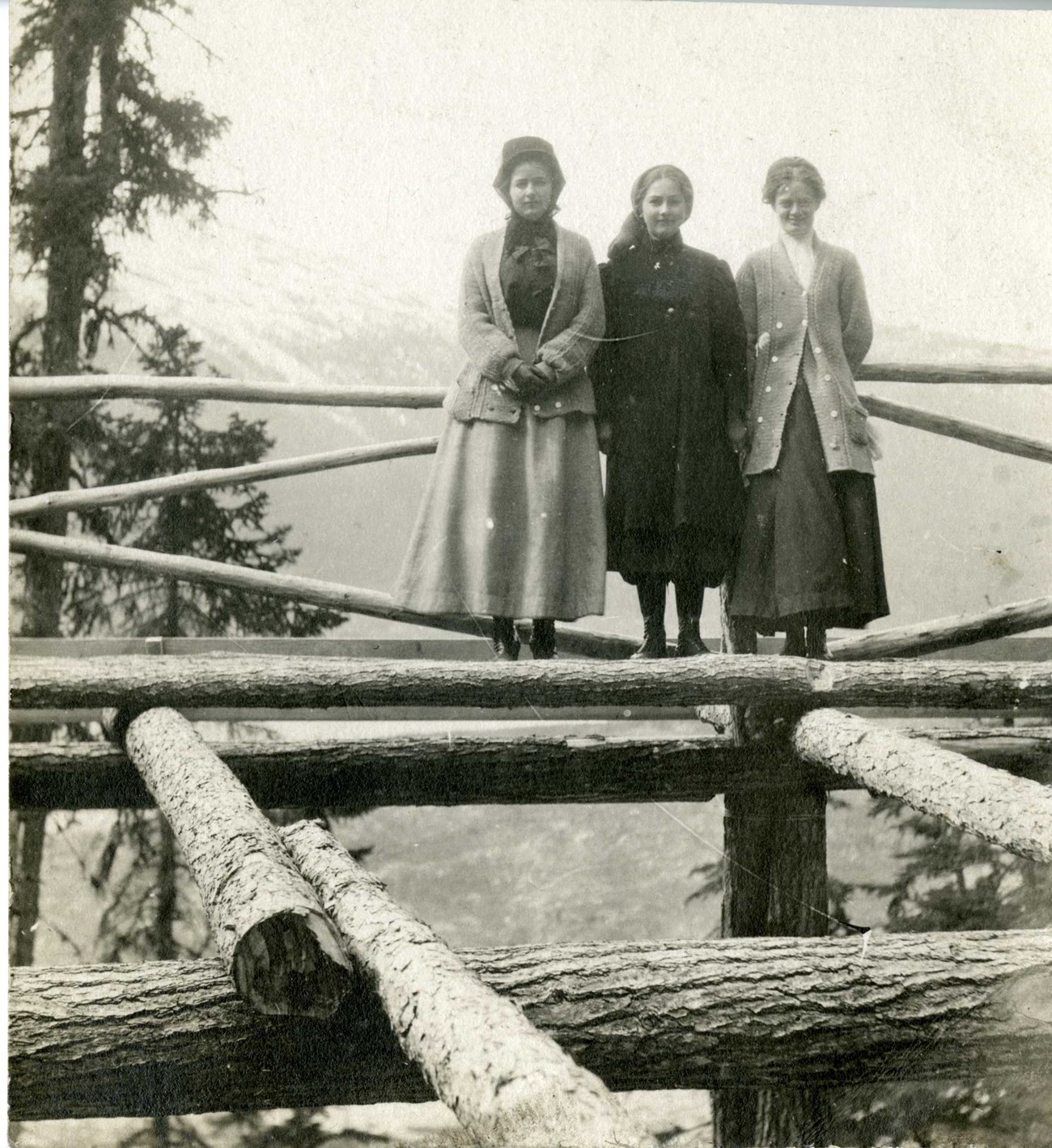 Three woman stand on a stack of logs in dresses