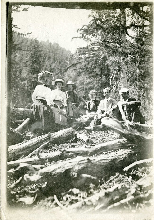 black and white photo of men and women sitting atop logs in a forest