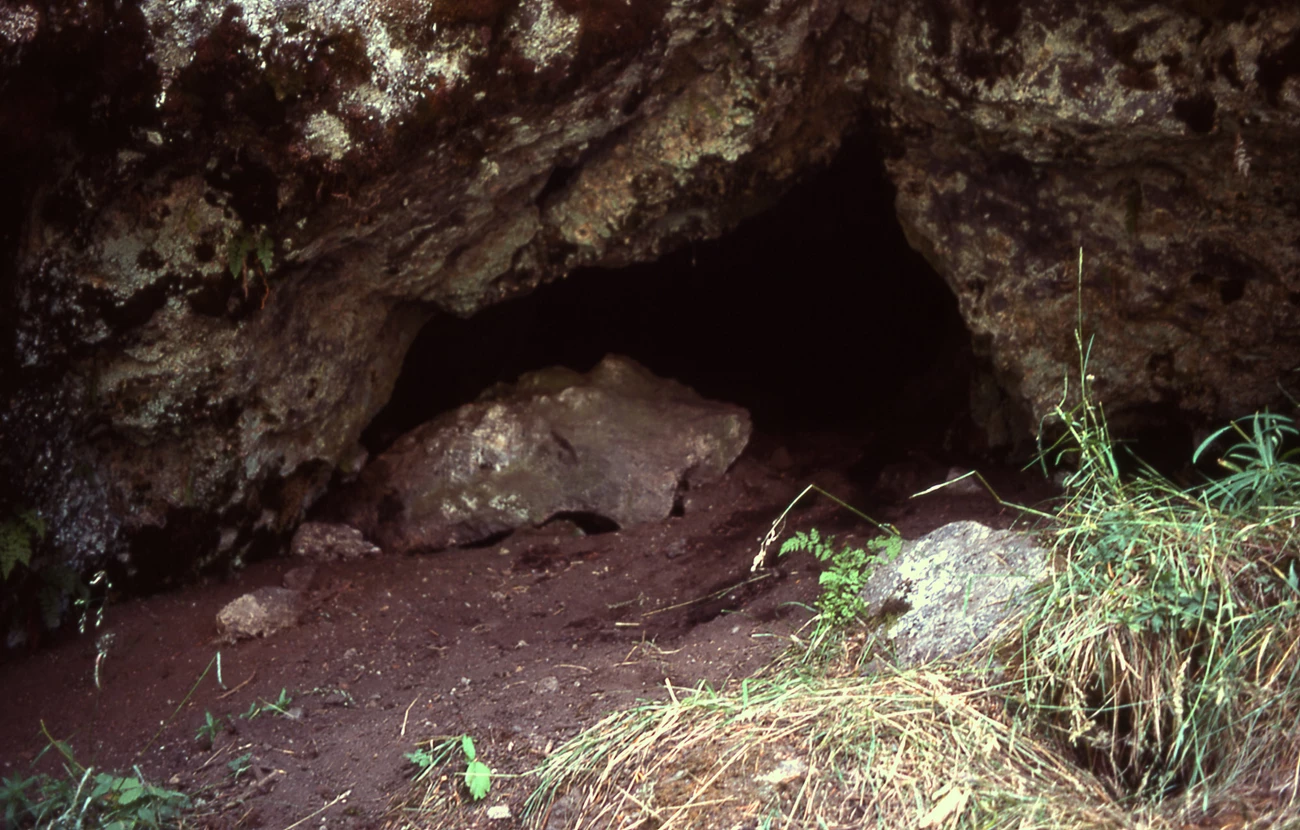 black bear den black bear den