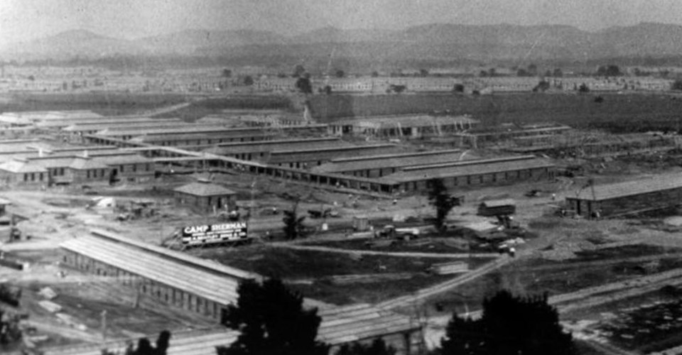 Several buildings under construction beyond a tree line