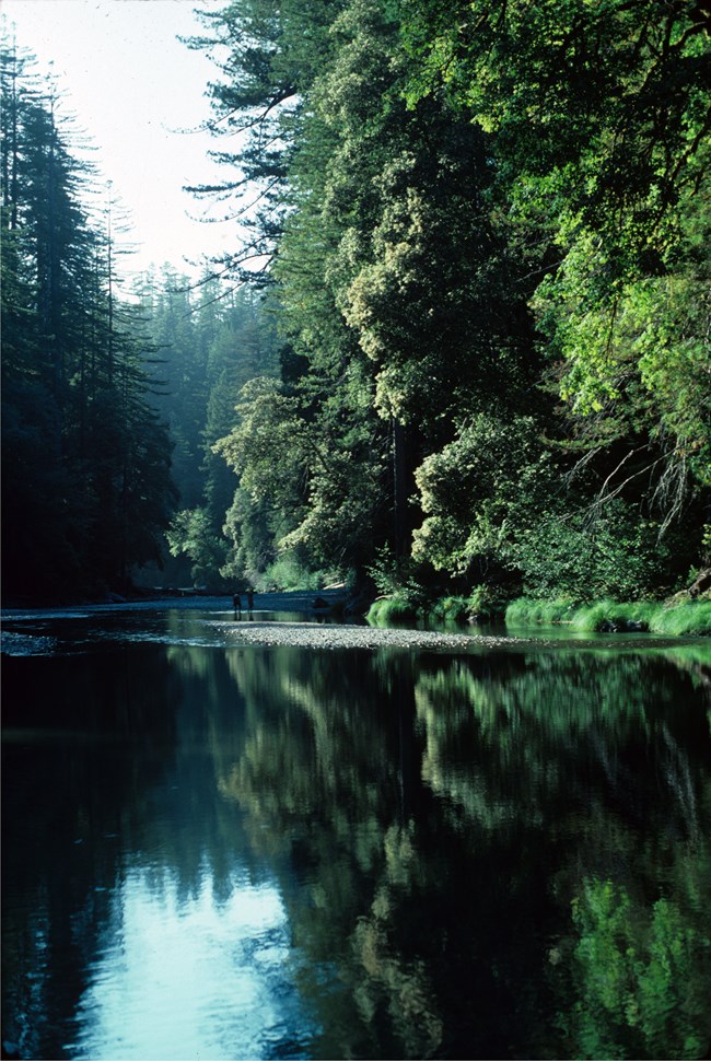 Hikers along a river. Hikers along a river.