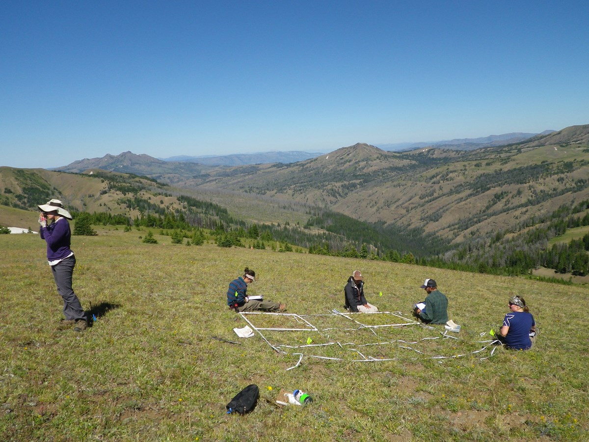biologists doing climate change research in alpine environment