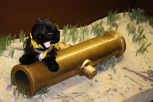 toy dog near cannon