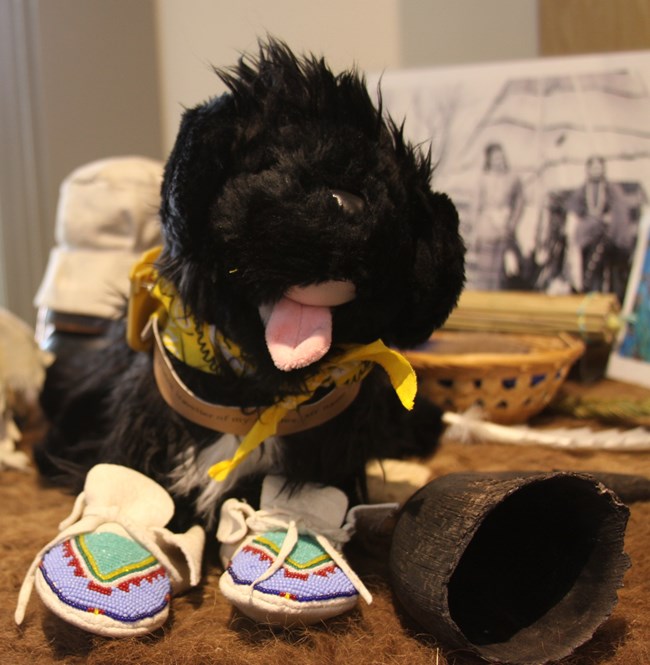 toy dog trying on moccasins