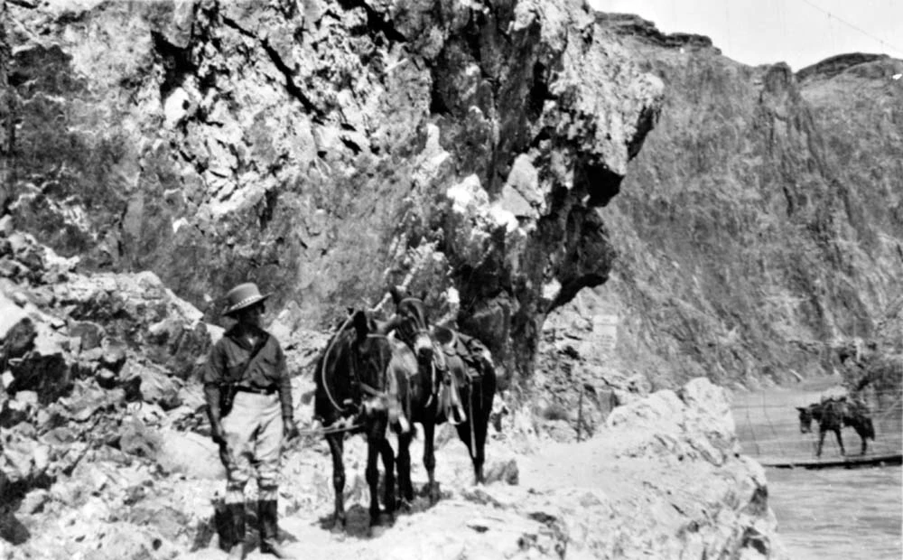 Kaibab near the Colorado River. Person in a wide brimmed hat and baggy clothes leads a pair of burros down a rocky trail. In the distance, a third burro crosses a bridge.