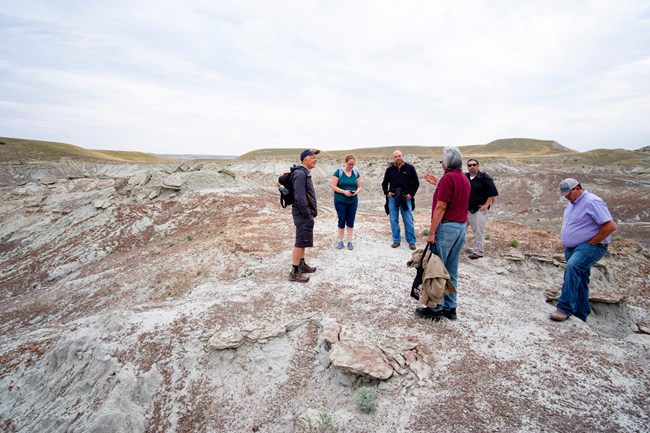 people in a landscape